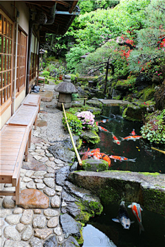 Lord月神采集到庭院