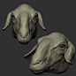 Sheep_Head, Ran Manolov : part of a larger scene I'm working on

Follow my instagram for more updates and wips:
www.instagram.com/ranmanolov
