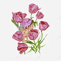 小精灵站在花上插画高清素材 插画 故事 童话 精灵 免抠png 设计图片 免费下载