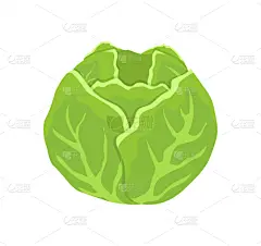 分离着色,动物头,计算机图标,绿甘蓝,卡通,农业,蔬菜,清新,食品,维生素