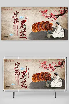 名贵中药材灵芝展板