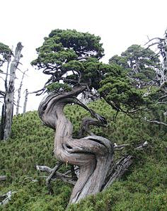 羊小百采集到风景素材