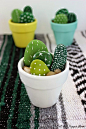 70 Faux Cactus & Succulent Projects and Ideas: 