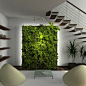 Indoor Vertical Garden, anyone?