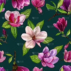 无缝图案与木兰花。水彩花卉图案，壁纸在一个黑暗的背景，织物。插画手绘。