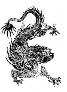 comiain macarthur 动物黑白肖像插画欣赏 黑白插画 装饰画 自然 肖像