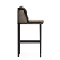 Suite Wood - Throne Barstool with Upholstery: 