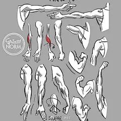 人体各部位的绘法，ins：howto_artist ​（转）via @板绘插画教程 ​​​​