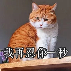 Cyan青木采集到表情包