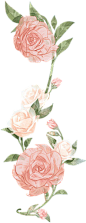 52af7613789849a80a3bbb65a8633a418a91e0a01a3f2-SYGeqC_fw1200