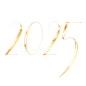 2025 (2)