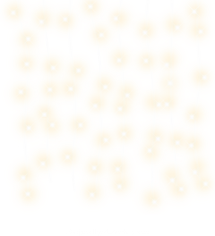 花生iii采集到光效