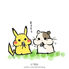 皮卡丘终于有点身为老鼠的自觉了……