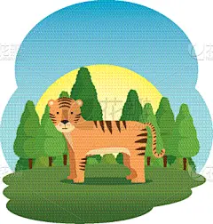 可爱的,景象,田地,虎,野生动物,植物群,公园,哺乳纲,动物,户外