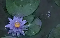 二十四节气对应的花朵 : 1、立春2月3-5日(阴历腊月十六日)：迎春花迎春花与梅花、水仙和山茶花统称为“雪中四友”，当迎春花开放的时候说明离春天也就不远了，这时候天气也渐渐回暖，所以十四节气对应的花...