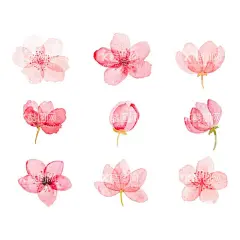 桃花  - 源文件下载【酷图网】桃花节,相约桃花镇,十里桃花,桃花节海报,赏桃花,粉色,桃花林,桃花展板,桃花春游,桃花摄影,桃花图,桃花盛开,桃花潭,桃花图片,美丽桃花,桃花花海,桃花农村,桃花桃子,桃花桃树,桃花游玩,桃花踏青,桃花源,桃花春天,桃花运,桃花水墨