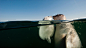 General 1920x1080 water underwater sea seals animals baby animals bubbles David Doubilet split view