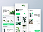 Plants Marketplace UI 3<br/>by Left Aligned for DCU