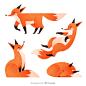 Collection of hand drawn foxes