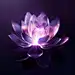 obooooooo_A_purple_lotus_flower_with_the_light_shining_through__cdd1a9bb-1a77-471a-96bb-97805dbb5c83