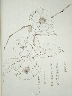 twinphanminh采集到HOA