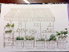 #钢笔淡彩##水彩插画# 【花店系列】一个透着薄荷绿气息的小过程～❀
@手绘插画 @本意绘片馆 @水彩教程 @手绘插画教程 ​​​​