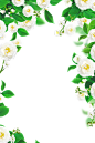 f9f26f7bdf6e244931cdbbb98dd87506f987fff57c8f9-VKvXC9_fw1200