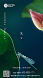 节日海报