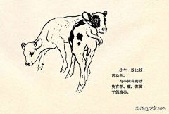 拈花一瞬采集到插画