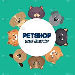 可爱的,猫,绿色,宠物商店,分离着色,宠物,概念,食品,爱