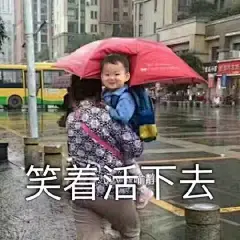 这个表情包P的太好笑了