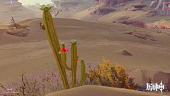 喵喵喜欢一个人采集到沙漠植物