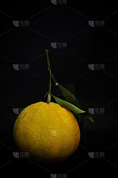 黑色背景下的橘色