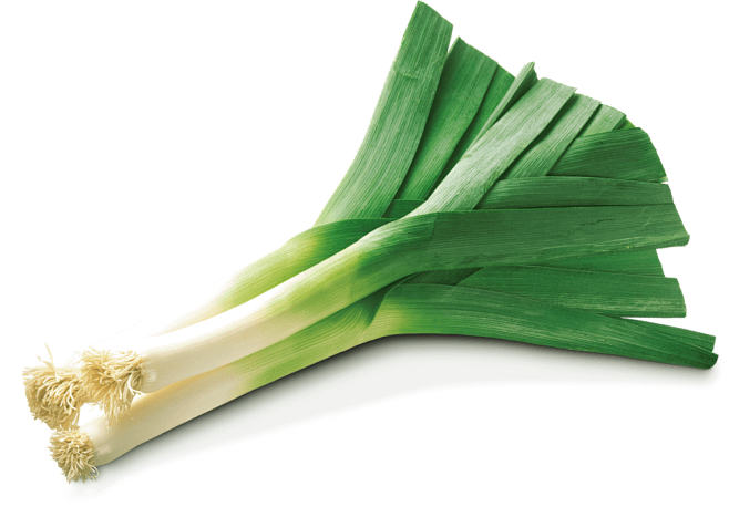 韭菜PNG