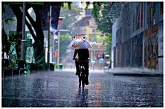 jackchen采集到雨中的灵感摄影