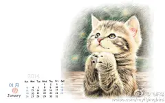 #飞乐鸟工作室壁纸#2014的第一天，今天你们都有好心情吗？感恩2013有你们的陪伴，2014年，飞乐鸟工作室将更加努力地陪伴在你身边，新的一年，我们一起加油吧！下载戳：http://t.cn/8kdEDsX  