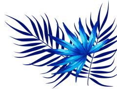 伴我游采集到花草PNG