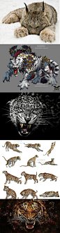 3200张大猫摄影电子图片jpg素材老虎狮子豹子猛兽猫科动物哺乳-淘宝网