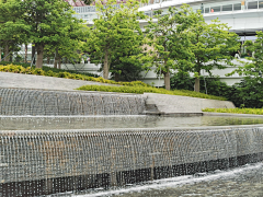 yunaaaa采集到公园植物景观