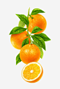 手绘橙子高清素材 手绘 橙子树枝 水果 黄色 免抠png 设计图片 免费下载