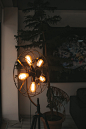 Lighted Fan-like Floor Lamp Beside Pine Tree Inside Room