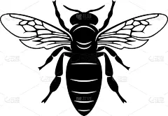 模板,品牌名称,蜜蜂,图标,野生动物,食品,大黄蜂,翅膀,设计