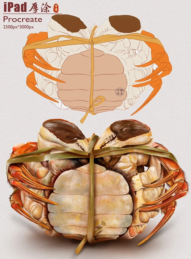iPad绘画 螃蟹 金秋十月