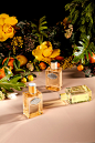 Wild at Heart, Bloomingdale's Spring Fragrance : Add a touch of drama to your fragrance collection with these botanical blends of lush florals, vibrant citrus and earthy woods.  Shot by Josh Dickinson, styled by Alex Brannian. Horticulture consulting by J