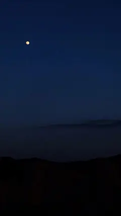 @糍粑儿，⇦点击进入主页，了解更多手机壁纸/高清壁纸/静物壁纸/风景壁纸