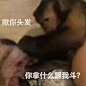 自配文吗喽表情包（2）嘿嘿嘿