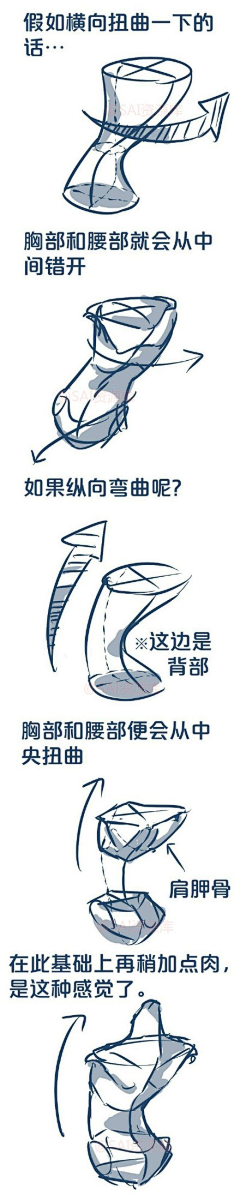 OldRogue采集到人体解剖