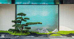 王珗森采集到植物景观