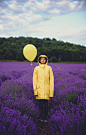 Yellow and Purple photo by Zoltan Tasi (@zoltantasi) on Unsplash : Download this photo by Zoltan Tasi (@zoltantasi)