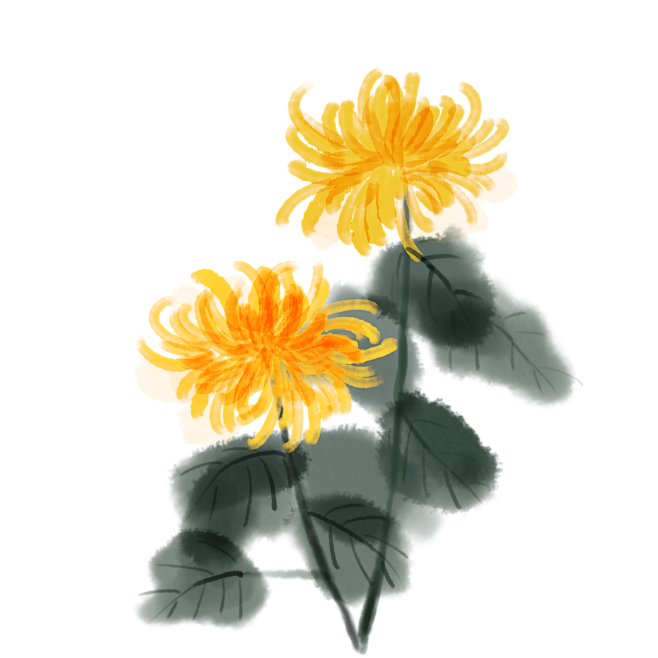 水墨画菊花元素